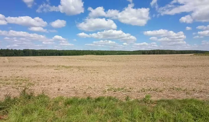 Działka budowlana Zgorzelec