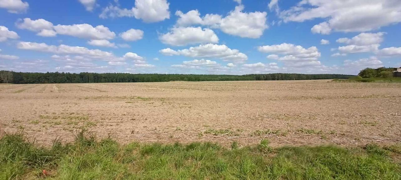 Działka budowlana Zgorzelec