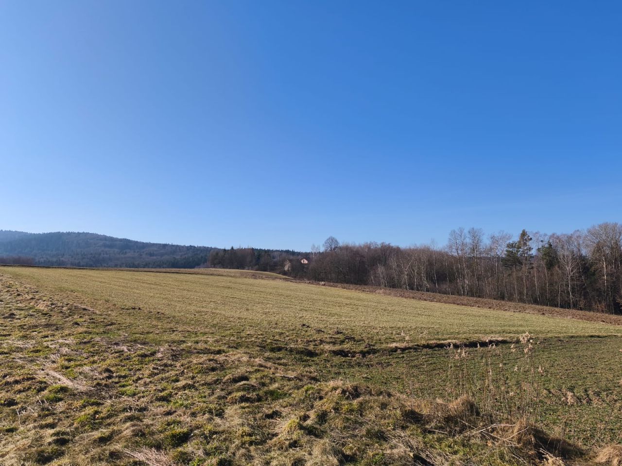 Działka rolna Dębowa. Zdjęcie 2