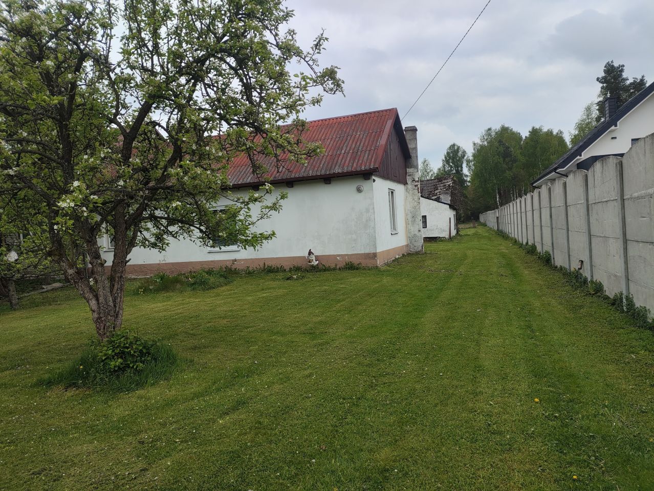 Działka rolno-budowlana Włoszczowa, ul. Wiejska. Zdjęcie 3