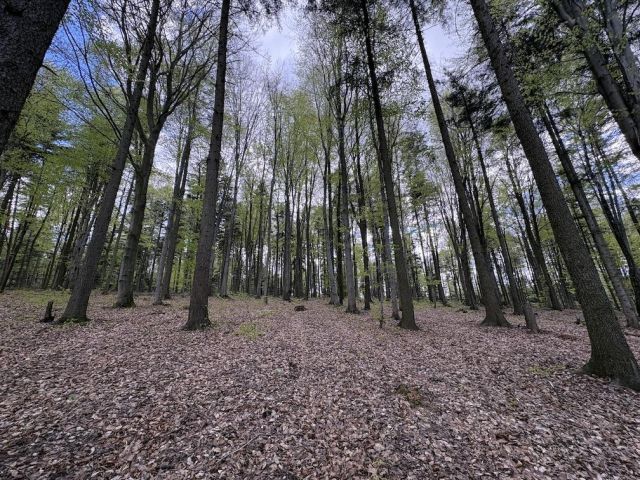 Działka budowlana Siodła. Zdjęcie 6