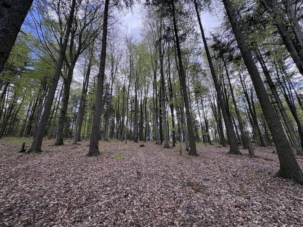 Działka budowlana Siodła. Zdjęcie 6
