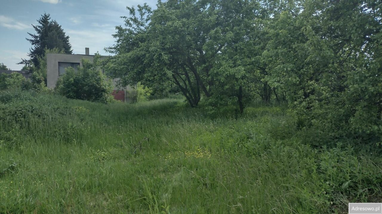 Działka budowlana Dłutów. Zdjęcie 4