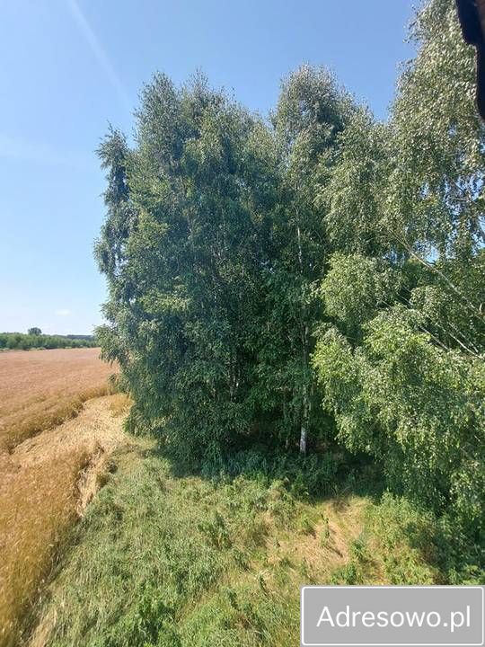 Działka rolna Bukowiec, ul. Dolna. Zdjęcie 7