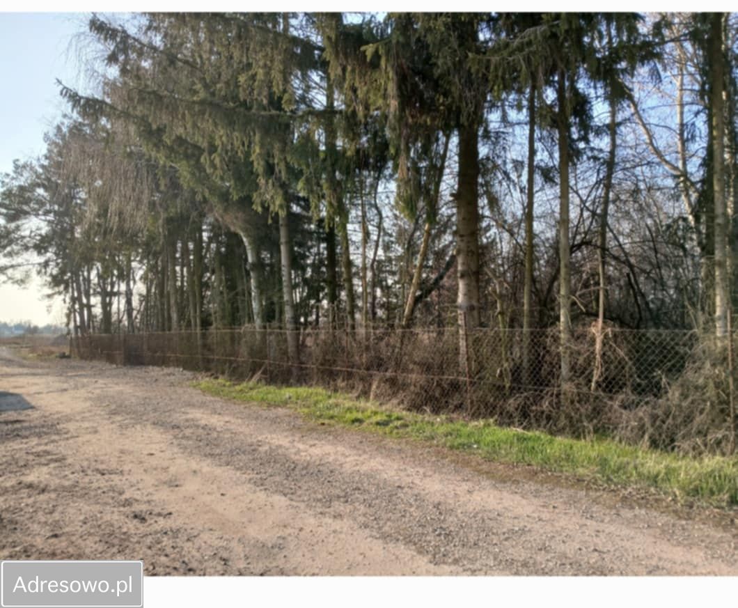 Działka budowlana Poznań Szczepankowo, ul. Jeżynowa. Zdjęcie 10