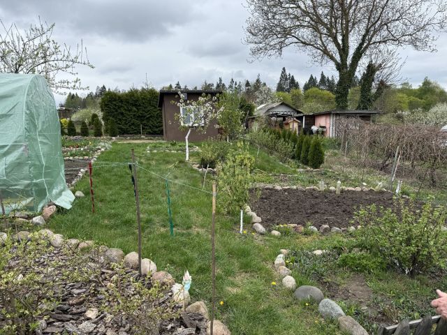 Działka rod Szczecinek, ul. Sienkiewicza. Zdjęcie 1