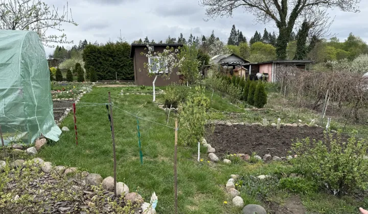 Działka rod Szczecinek, ul. Sienkiewicza