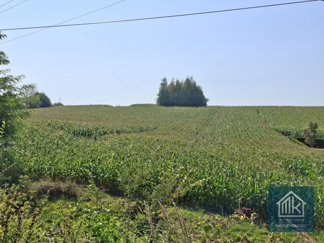 Działka budowlana Bodzanów. Zdjęcie 15
