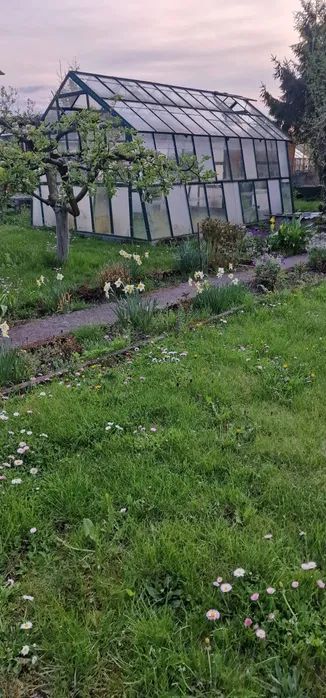 Działka rod Giżycko, ul. Obwodowa. Zdjęcie 5
