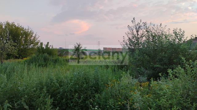 Działka inwestycyjna Nowa Wola. Zdjęcie 3