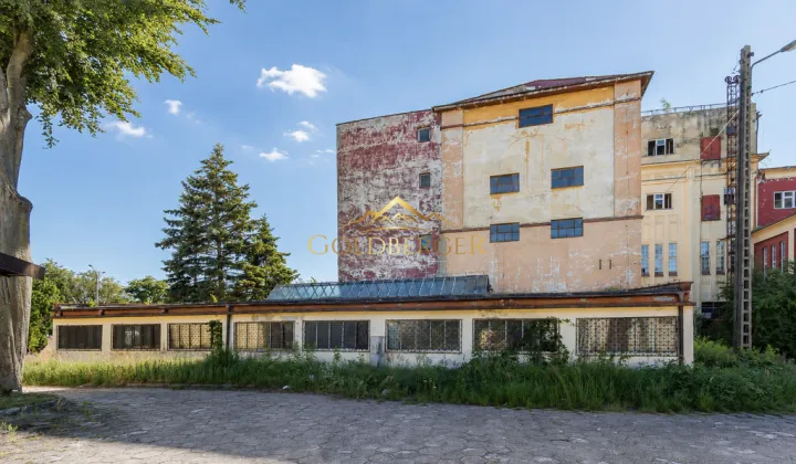 Hala/magazyn Białogard, ul. Świdwińska