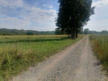 Działka rolno-budowlana Młodocin Większy. Zdjęcie 2