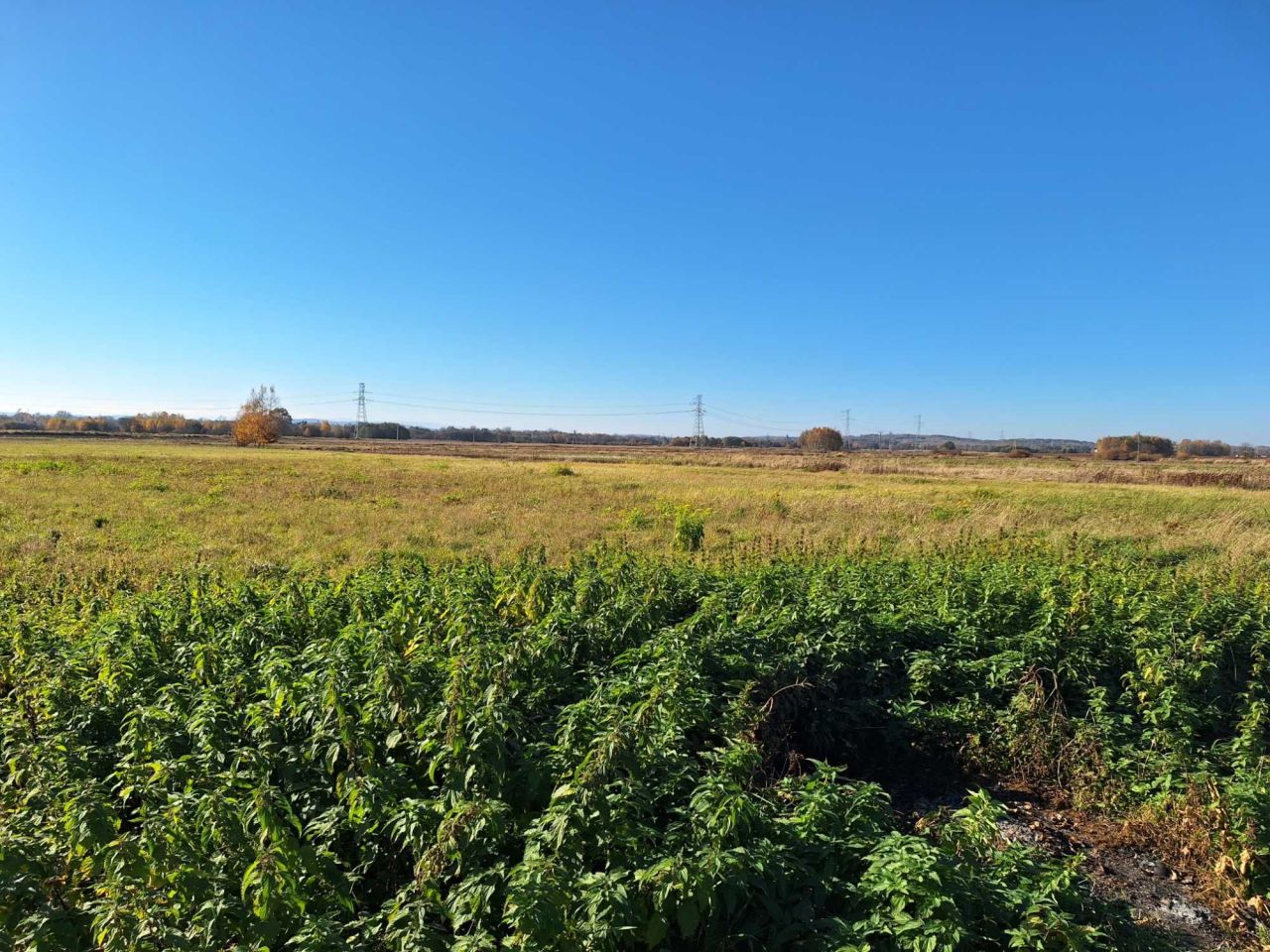Działka budowlana Odrzykoń, ul. Krośnieńska. Zdjęcie 6