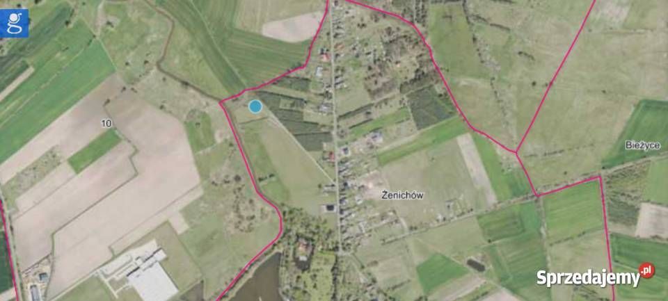 Działka rolna Żenichów. Zdjęcie 3