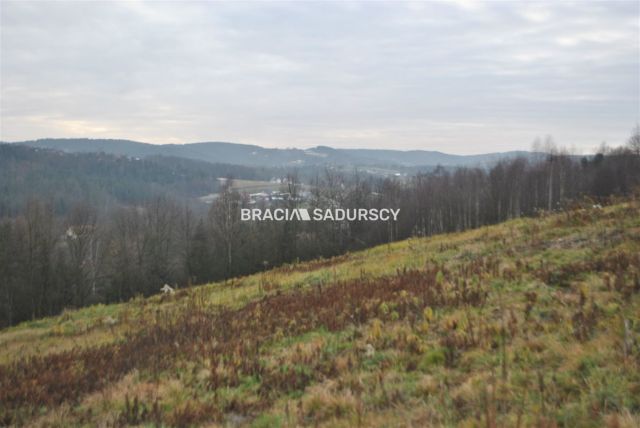 Działka rolno-budowlana Głogoczów. Zdjęcie 2