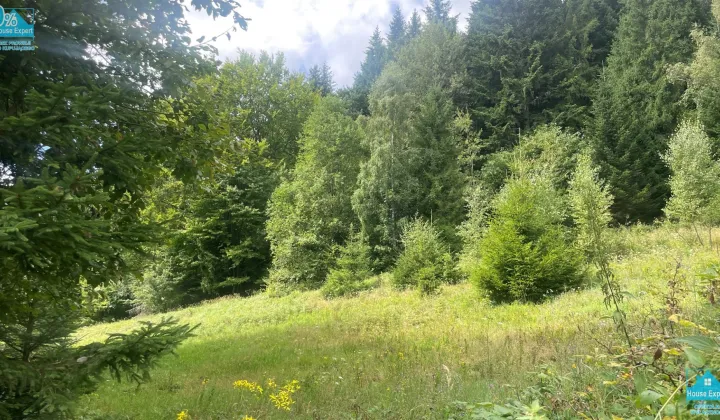 Działka rolna Krynica-Zdrój, ul. Zieleniewskiego