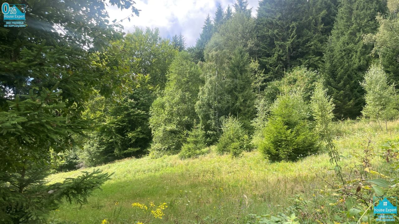 Działka rolna Krynica-Zdrój, ul. Zieleniewskiego