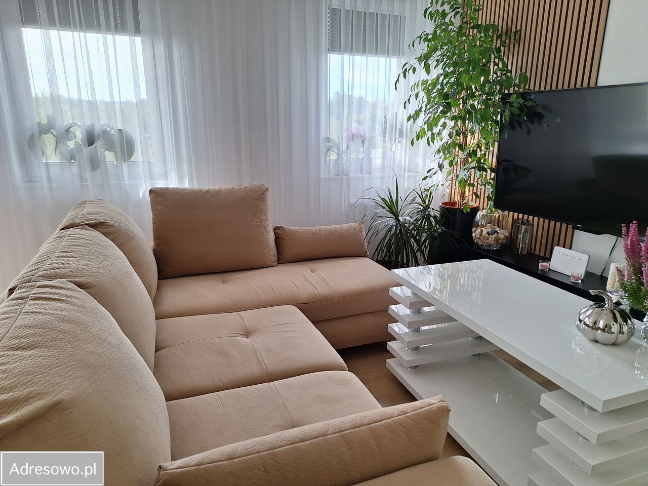 Mieszkanie 2-pokojowe Łańcut