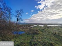 Działka siedliskowa Bałdrzychów. Zdjęcie 1