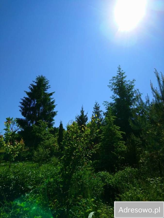 Działka rod Tczew Czyżykowo, ul. Bałdowska. Zdjęcie 9