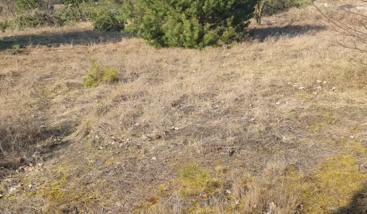 Działka budowlana Radom Józefów, ul. Florentyny Jakubczak