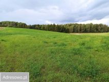 Działka rolno-budowlana Żerdziny. Zdjęcie 2