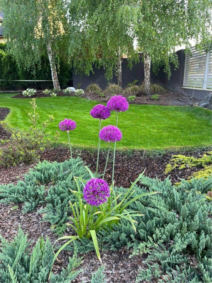 dom wolnostojący, 4 pokoje Klikawa, ul. Ogrodowa. Zdjęcie 3