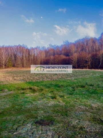 Działka budowlana Brodnica Górna. Zdjęcie 1