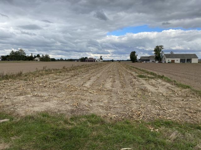 Działka rolna Zembry. Zdjęcie 1