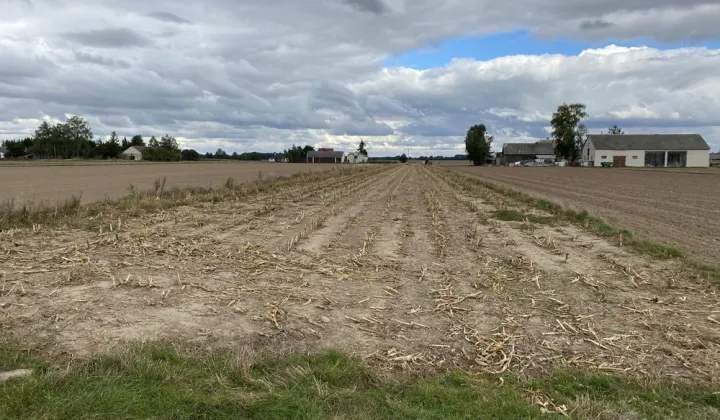 Działka rolna Zembry