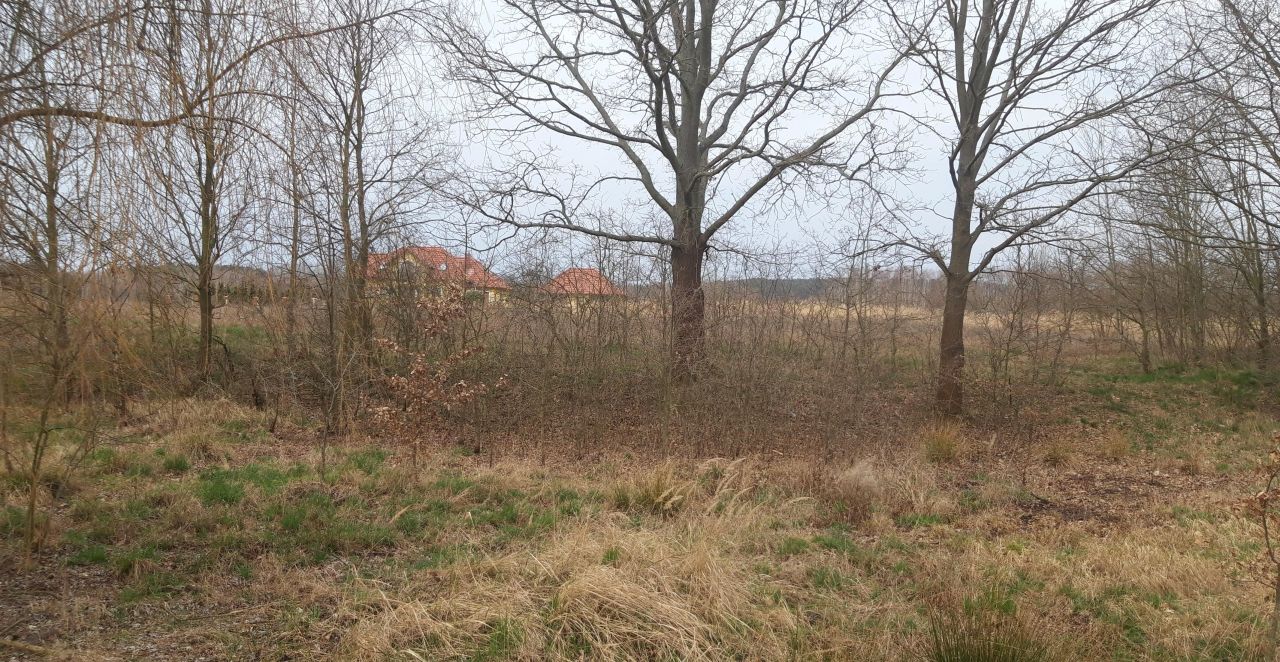 Działka rolno-budowlana Koźla. Zdjęcie 7