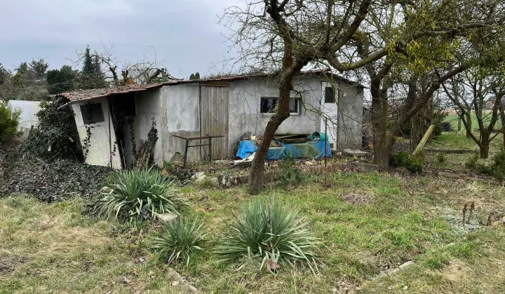 Działka rod Międzychód, ul. Napoleona Rutkowskiego