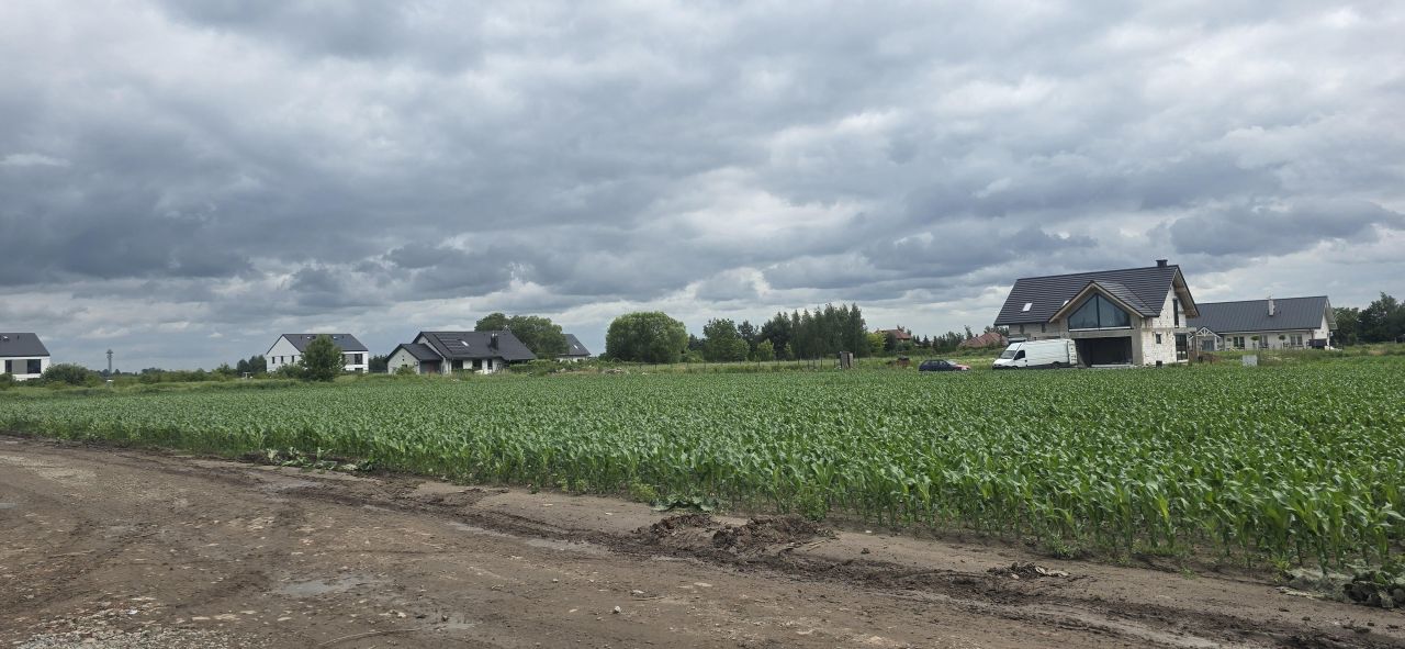 Działka budowlana Rogoż, ul. Zacisze. Zdjęcie 5
