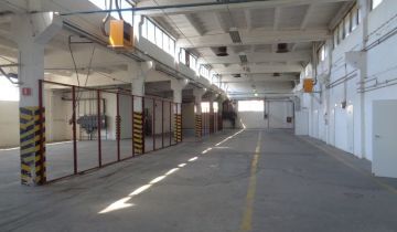 Hala/magazyn Paczków