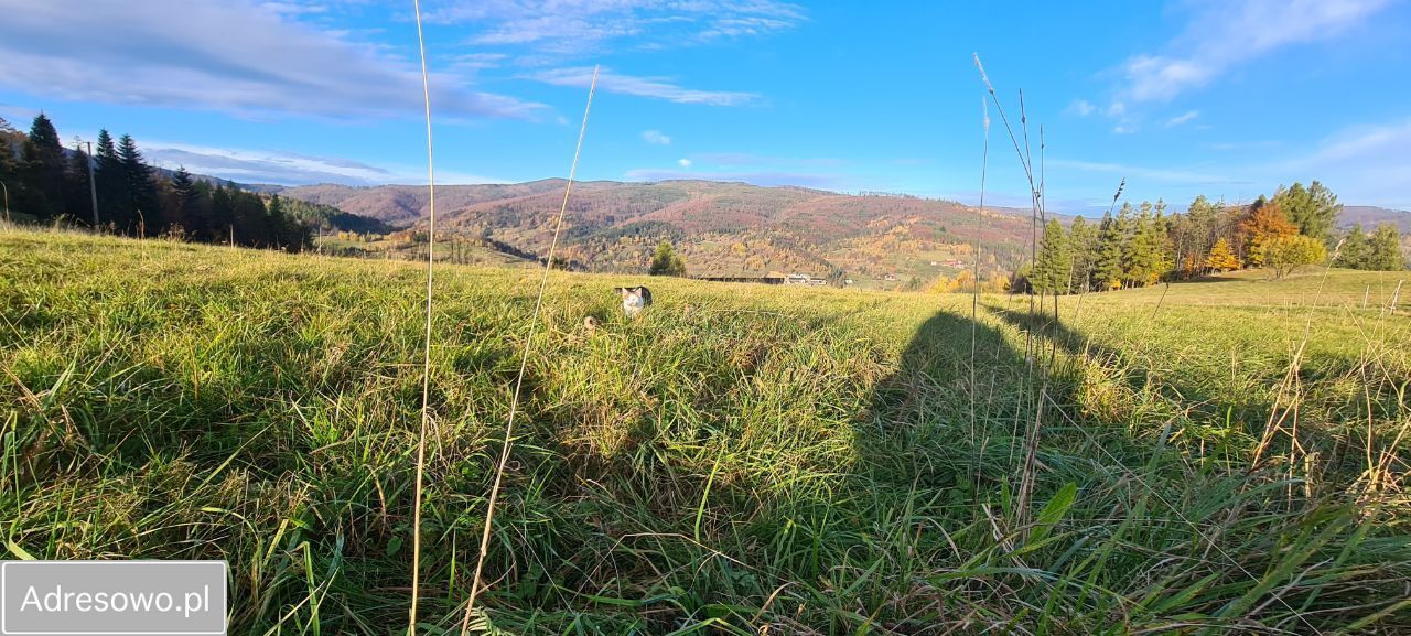 Działka budowlana Zawoja. Zdjęcie 2