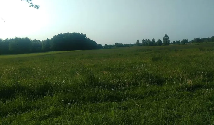 Działka rolno-budowlana Grzymałków