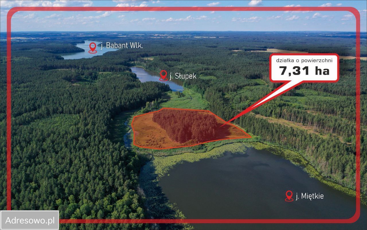 Działka rolna Jeleniowo. Zdjęcie 2