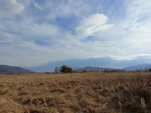 Działka budowlana Jeleśnia. Zdjęcie 2