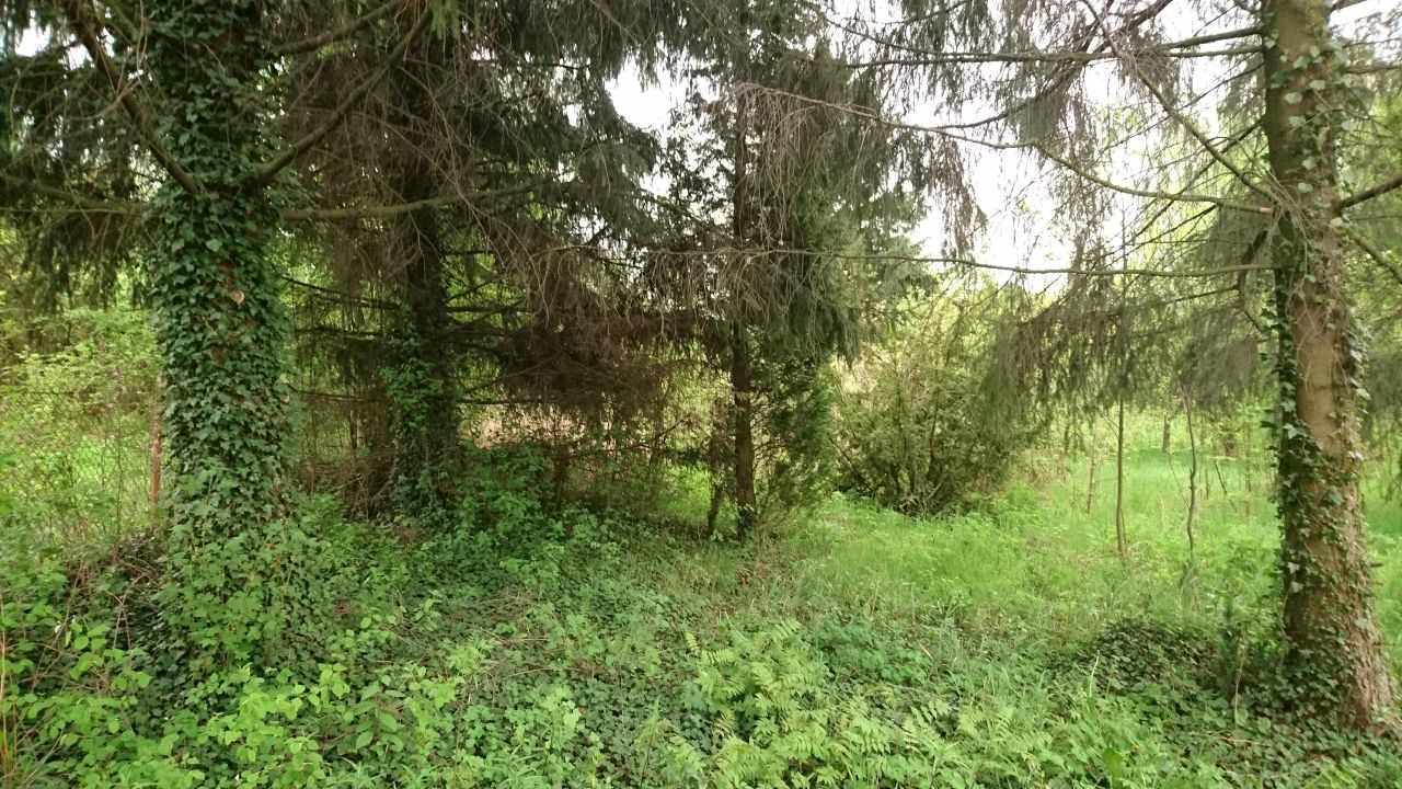 Działka budowlana Radom Krychnowice, ul. Ludwinowska