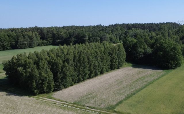 Działka leśna Górki Duże, ul. Jutroszewska. Zdjęcie 1