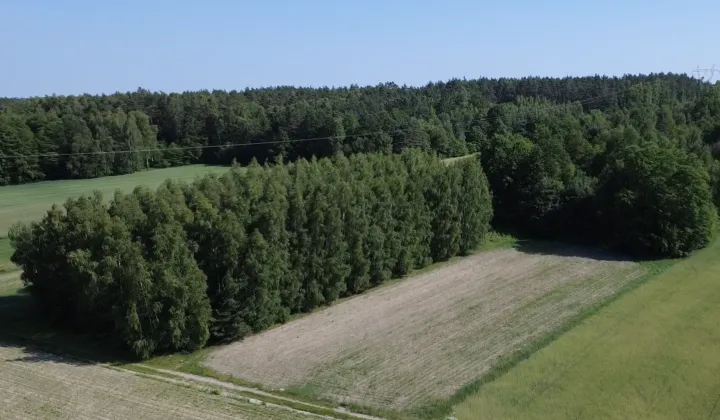 Działka leśna Górki Duże, ul. Jutroszewska