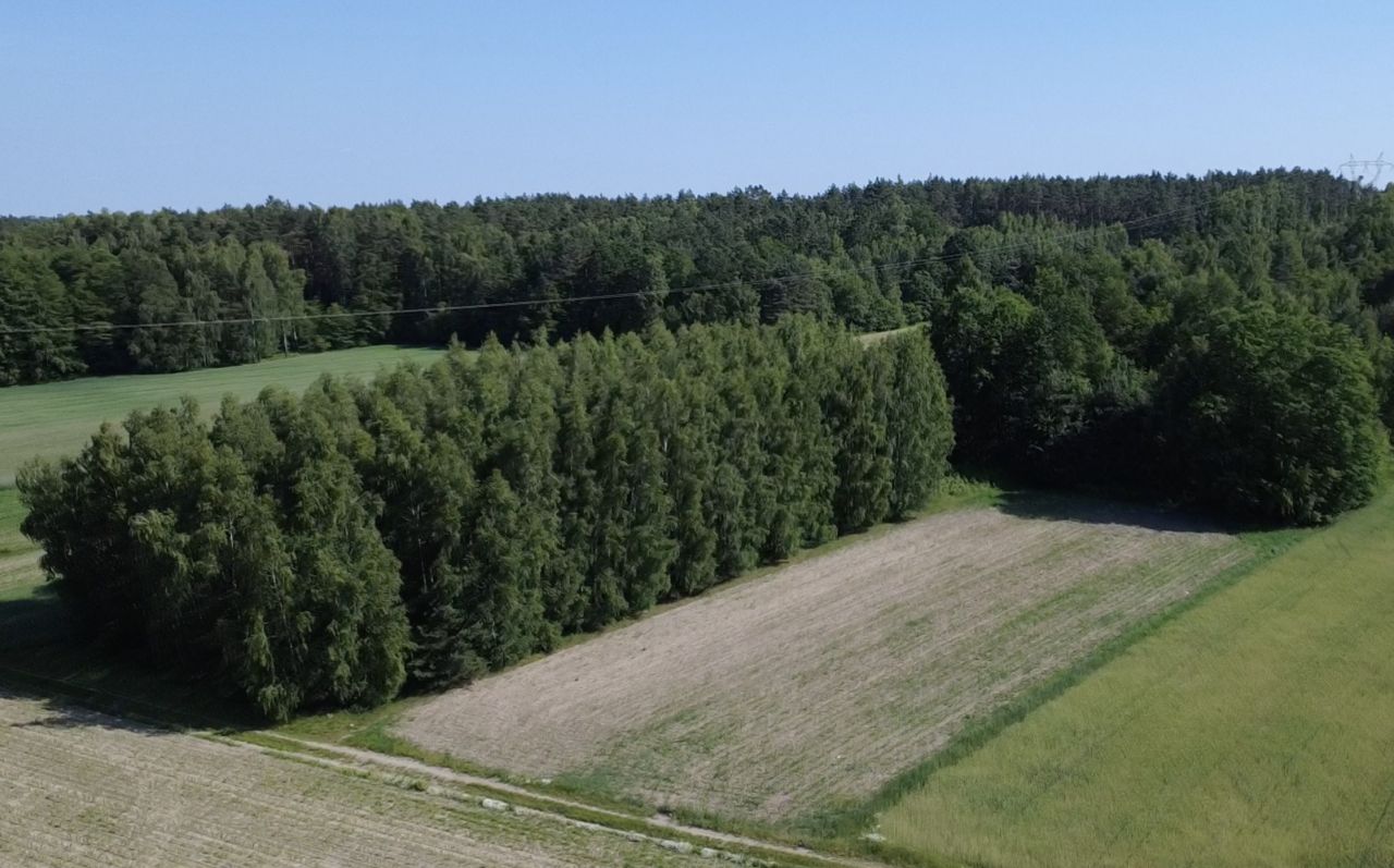 Działka leśna Górki Duże, ul. Jutroszewska