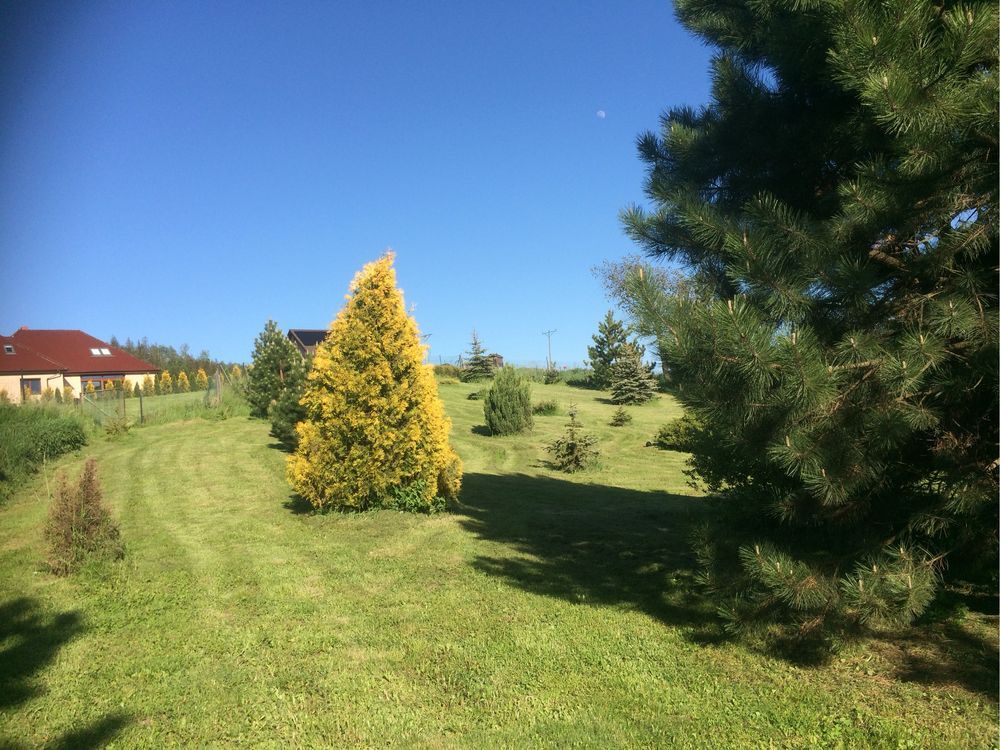 Działka budowlana Czarny Bór