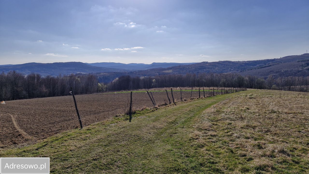 dom wolnostojący, 2 pokoje Lutcza. Zdjęcie 4