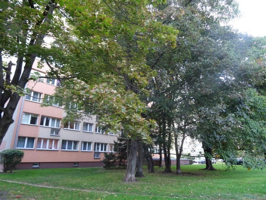 Mieszkanie 3-pokojowe Wrocław Krzyki, ul. Zaporoska. Zdjęcie 10