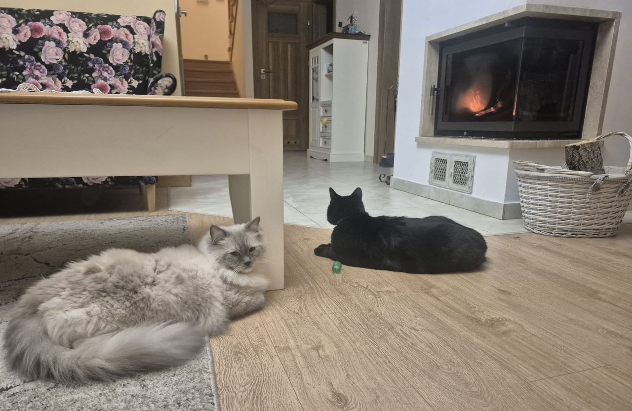 dom wolnostojący, 5 pokoi Przysucha, ul. Świętokrzyska. Zdjęcie 9