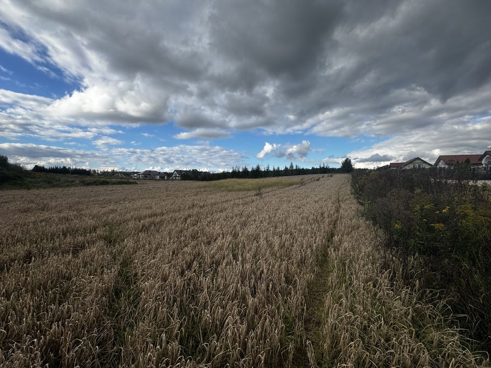 Działka rolno-budowlana Gajewo, ul. Dębowa. Zdjęcie 2