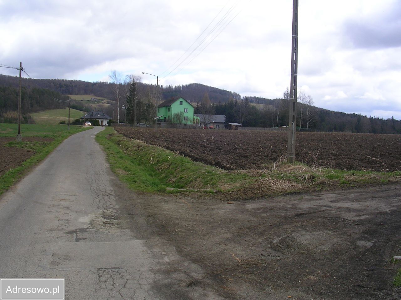 Działka rolna Święcko. Zdjęcie 6
