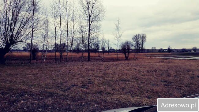 Działka budowlana Tur-Piaski. Zdjęcie 2