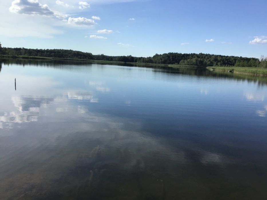 Działka rolna Stare Kiełbonki. Zdjęcie 8